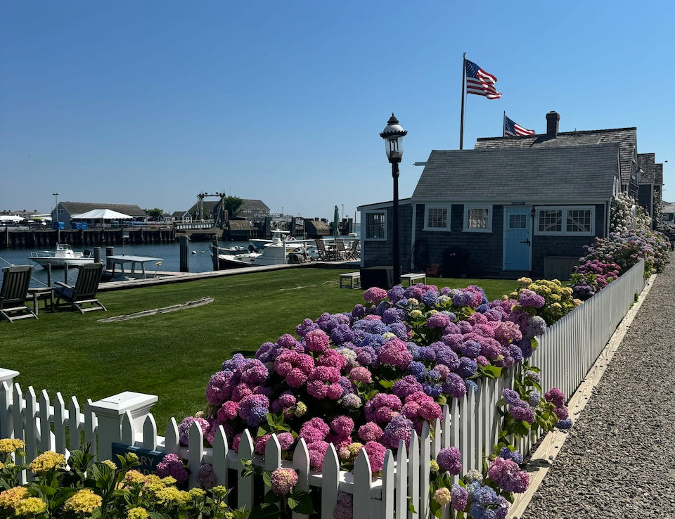 The Ultimate Family Guide to Nantucket