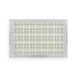 Antonia Acrylic Serving Tray