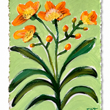 Yellow Petal Study 1