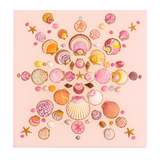 Pink Shell Starburst