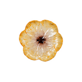 Yellow Elisabetta Flower Dessert Plate, Set of 4