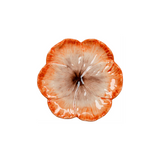 Orange Elisabetta Flower Dessert Plate, Set of 4