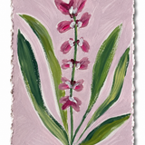 Flora Study II