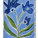 Forget-Me-Not