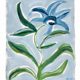 Cornflower Dream II