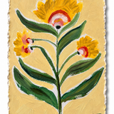 Daffodil Dream II