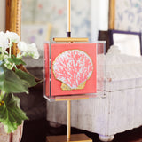 Coastal Coral