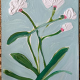 Jasmine