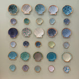 Celadon Shoreline