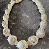 Rare Vintage Miriam Haskell Large Pearlescent Sea Shell Choker 16” Necklace
