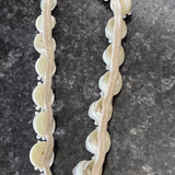 Rare Vintage Miriam Haskell Large Pearlescent Sea Shell Choker 16” Necklace