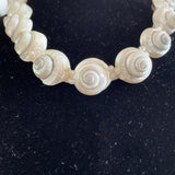 Rare Vintage Miriam Haskell Large Pearlescent Sea Shell Choker 16” Necklace